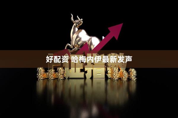 好配资 哈梅内伊最新发声