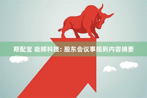 期配宝 能辉科技: 股东会议事规则内容摘要