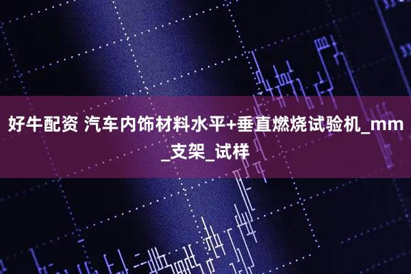 好牛配资 汽车内饰材料水平+垂直燃烧试验机_mm_支架_试样