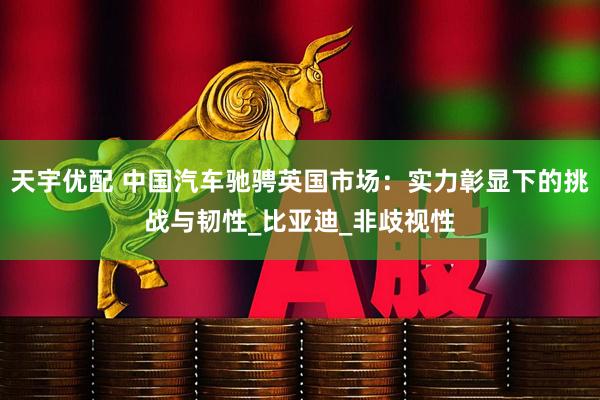 天宇优配 中国汽车驰骋英国市场：实力彰显下的挑战与韧性_比亚迪_非歧视性