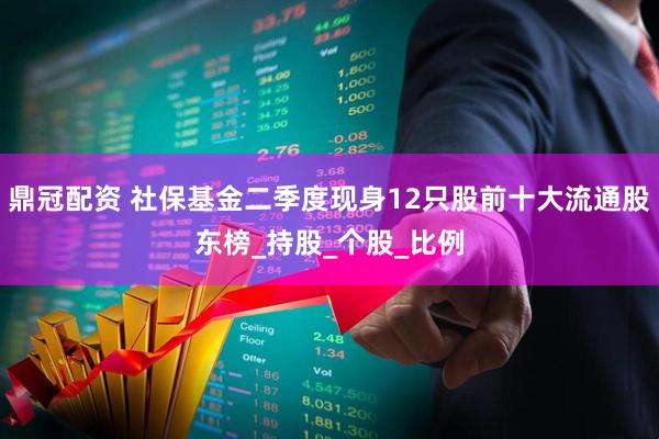 鼎冠配资 社保基金二季度现身12只股前十大流通股东榜_持股_个股_比例