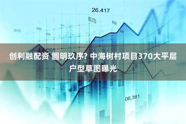 创利融配资 圆明玖序? 中海树村项目370大平层户型草图曝光