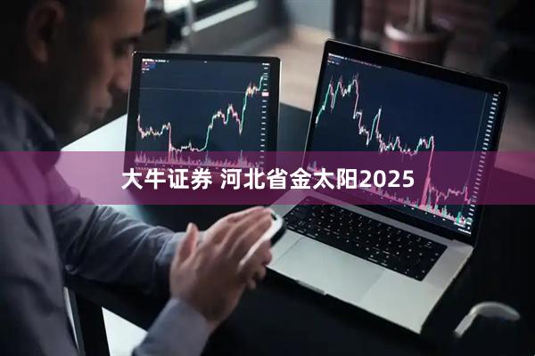 大牛证券 河北省金太阳2025